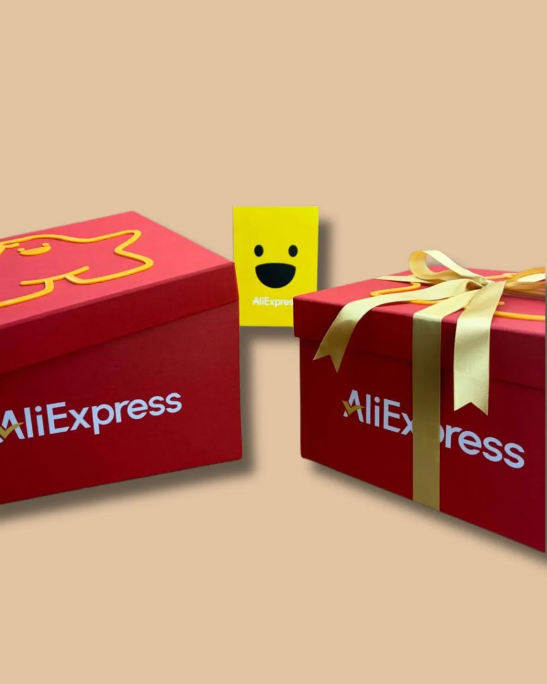 Press Kit Campanha AliExpress - Miniatura 3