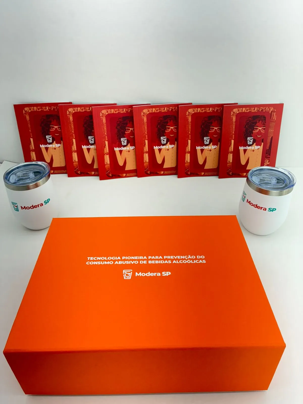 Press Kit Modera SP - Ambev - Miniatura 3