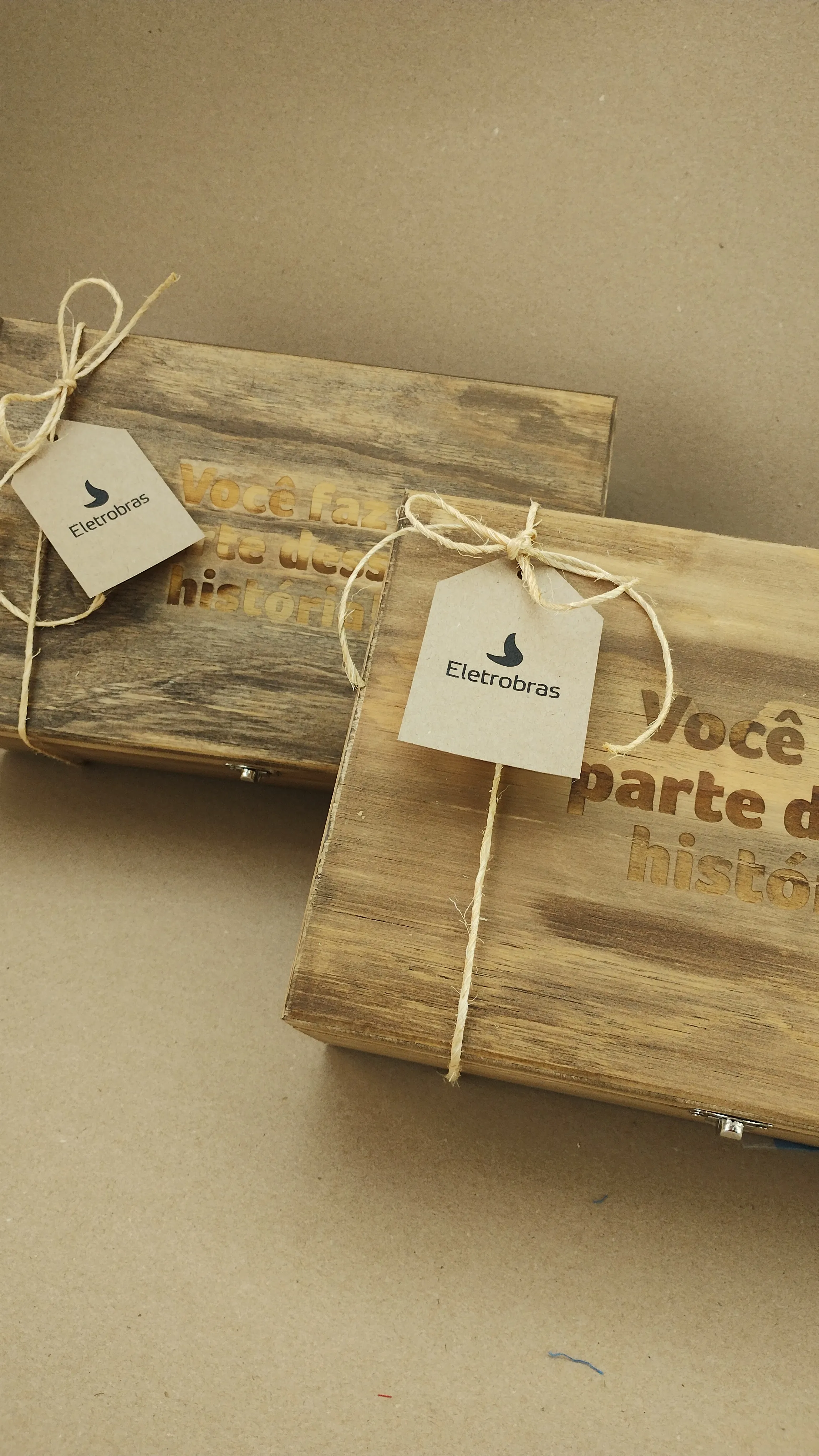 Press Kit Peixe-Boi - Eletrobras - Miniatura 2