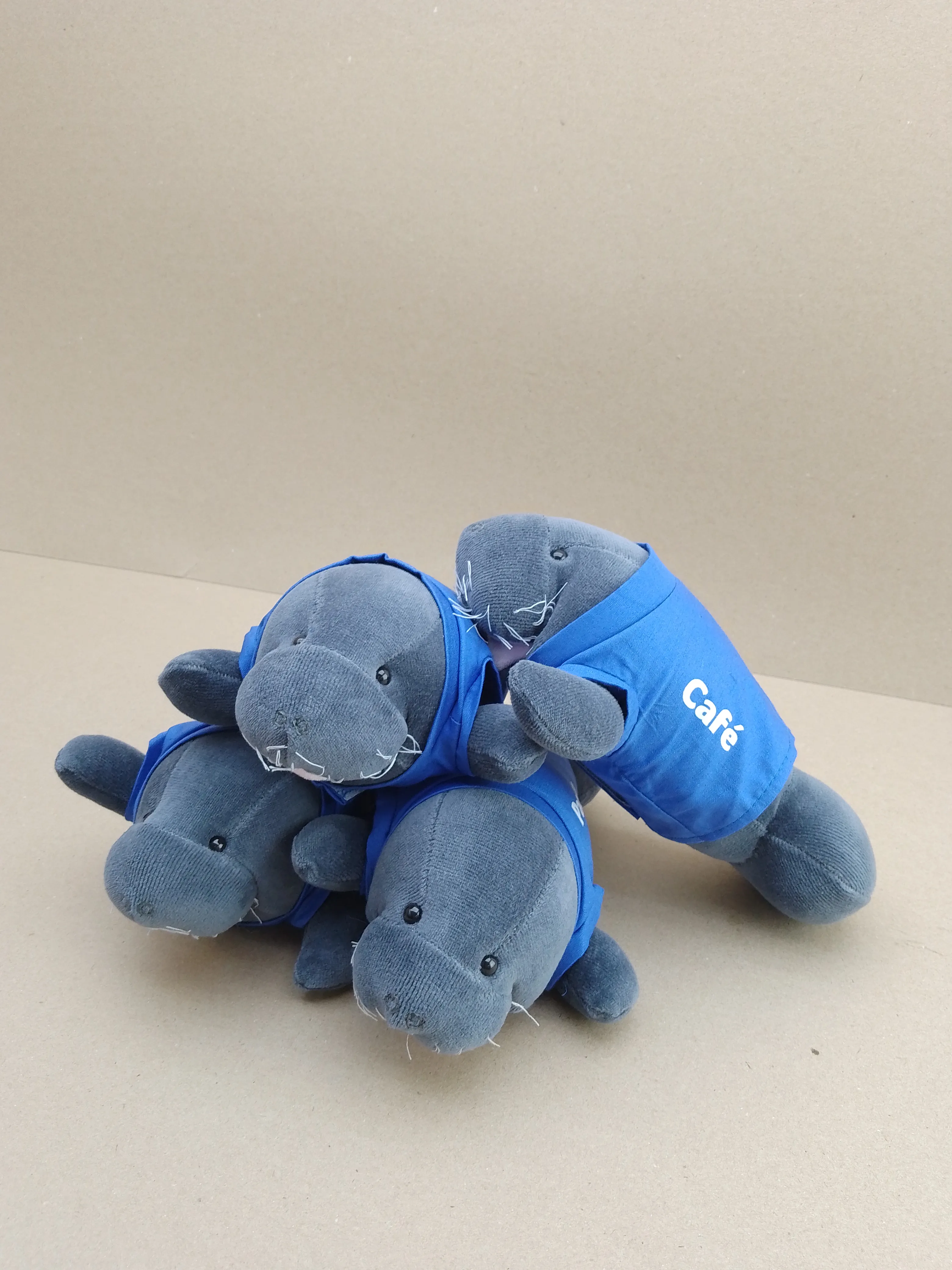 Press Kit Peixe-Boi - Eletrobras - Miniatura 3