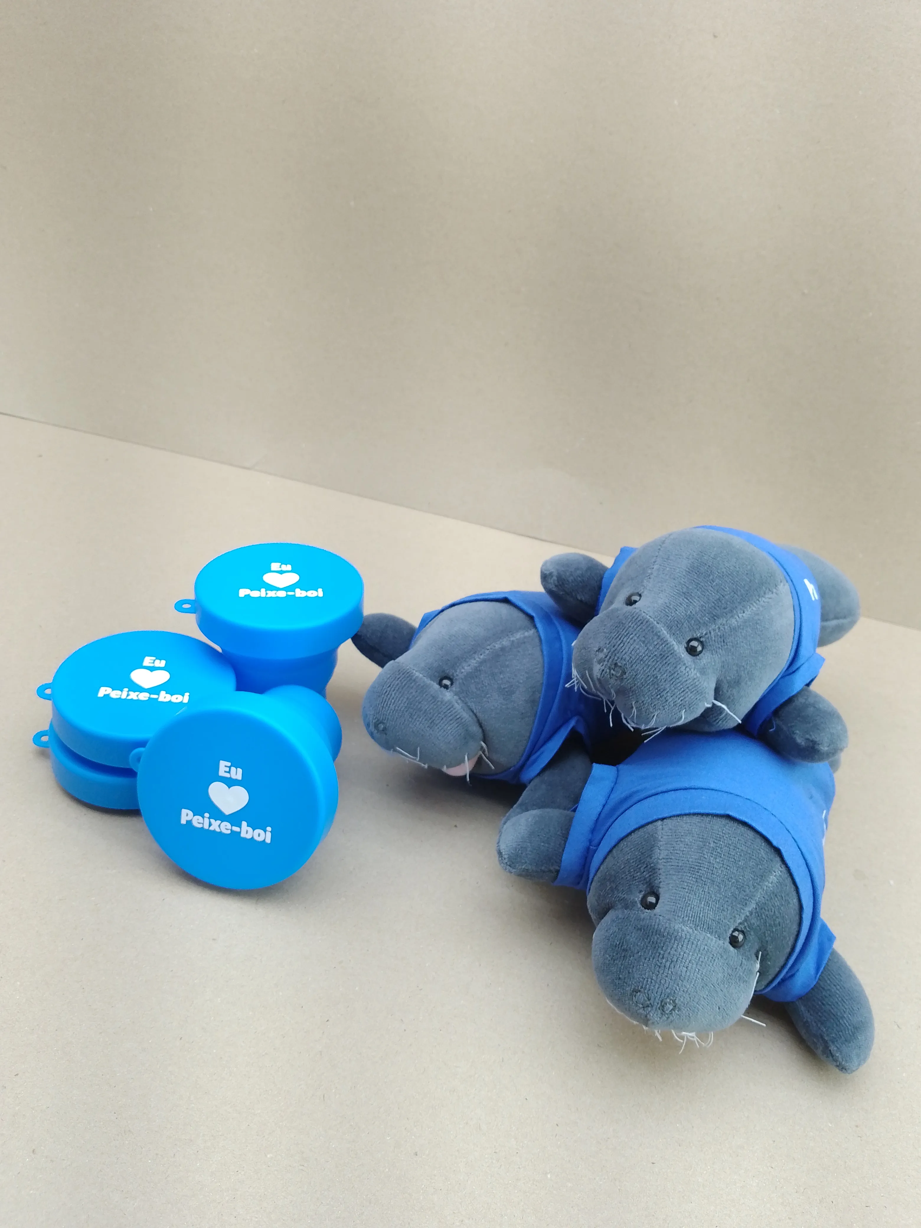 Press Kit Peixe-Boi - Eletrobras - Miniatura 4