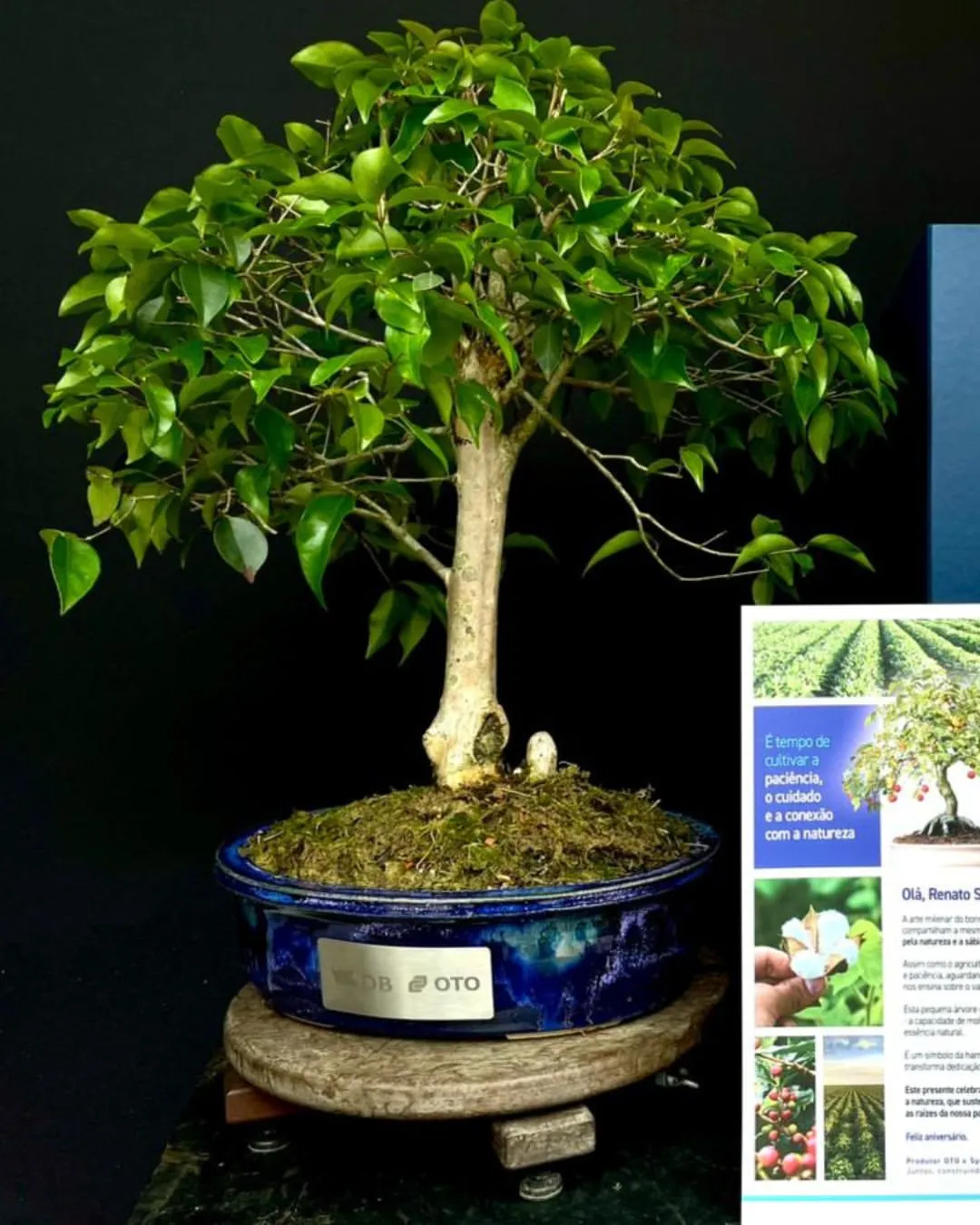 Case Syngenta: Programa OTO - 25 Anos de Parceria - Imagem 3