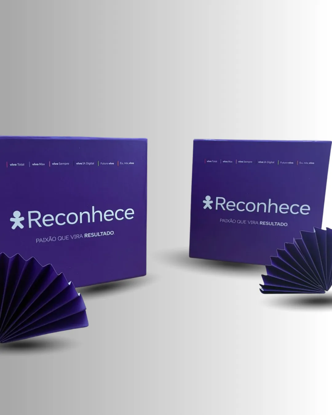 Caixas Articuladas Vivo - Miniatura 2