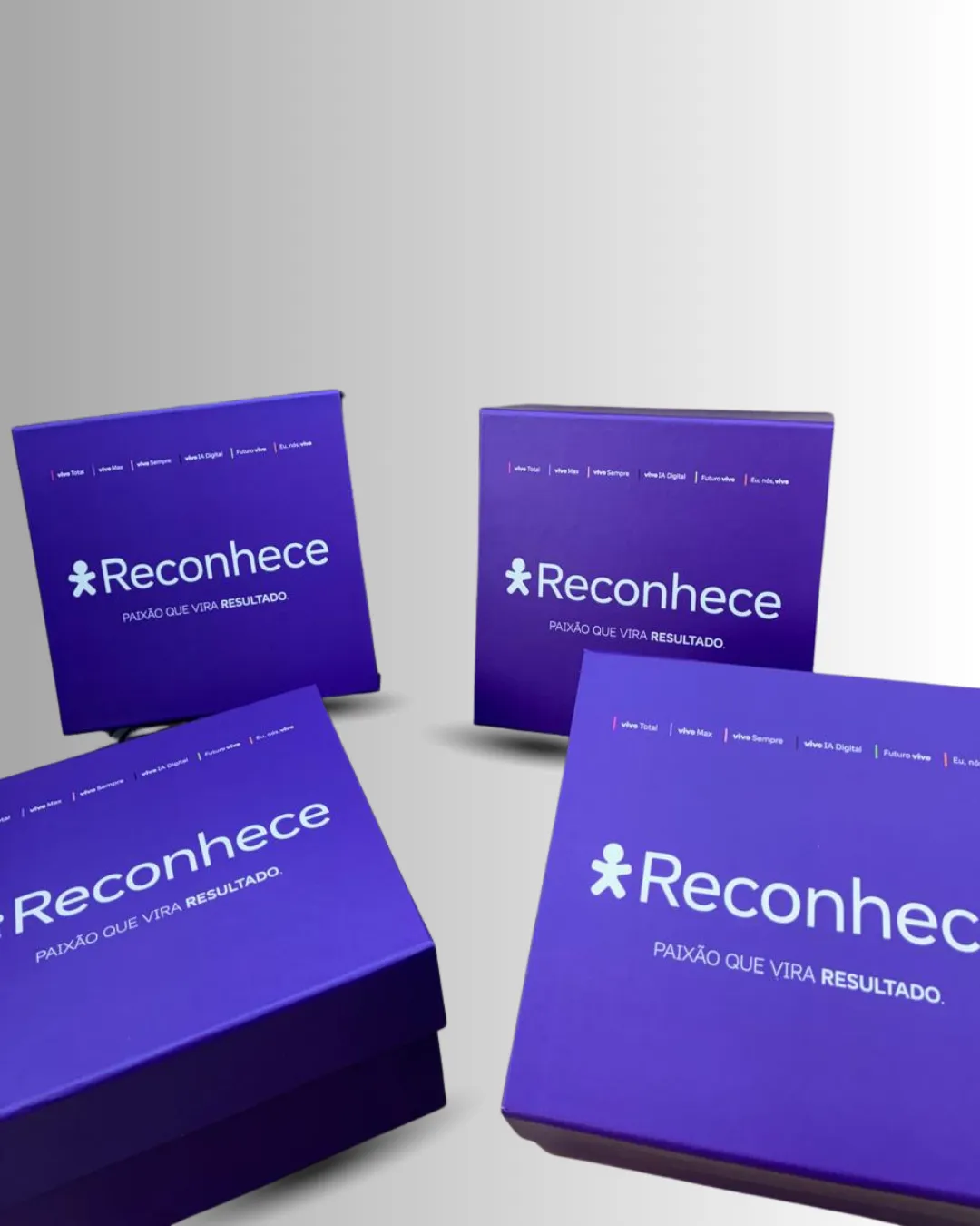 Caixas Articuladas Vivo - Miniatura 3